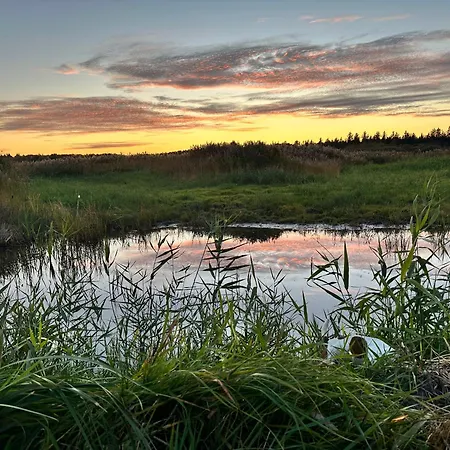 Vila Pax House Storvorde